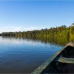 THE PERUVIAN JUNGLE: 8 IMPRESSIVE FACTS