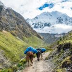 Salkantay Expedition: 4 Days of Adventure in the Peruvian Andes
