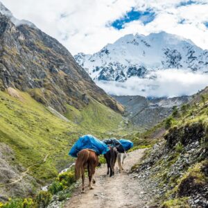 Salkantay Trek