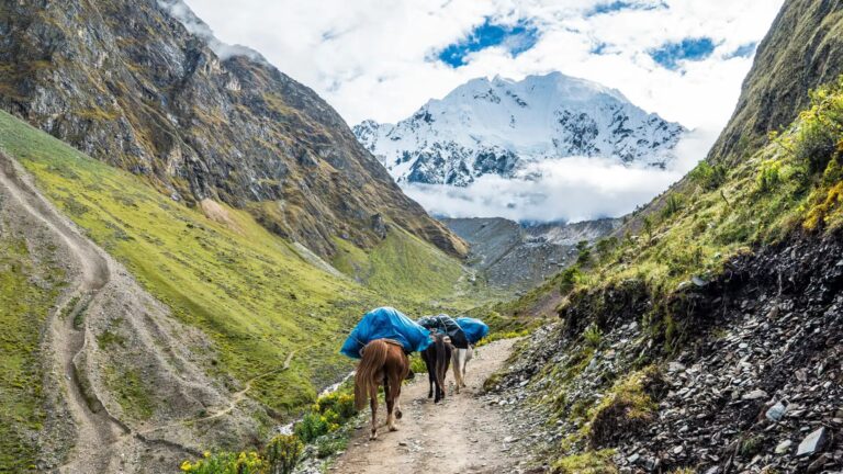 Salkantay trek