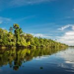 TAMBOPATA'S EXUBERANT RAINFOREST WEATHER FOR 2024