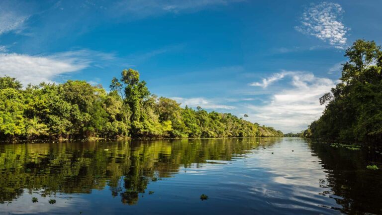 TAMBOPATA'S EXUBERANT RAINFOREST WEATHER FOR 2024