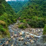 TAMBOPATA JUNGLE: 7 IMPORTANT FACTS ABOUT IT