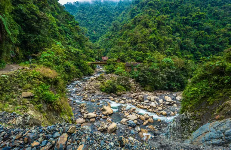 TAMBOPATA JUNGLE: 7 IMPORTANT FACTS ABOUT IT