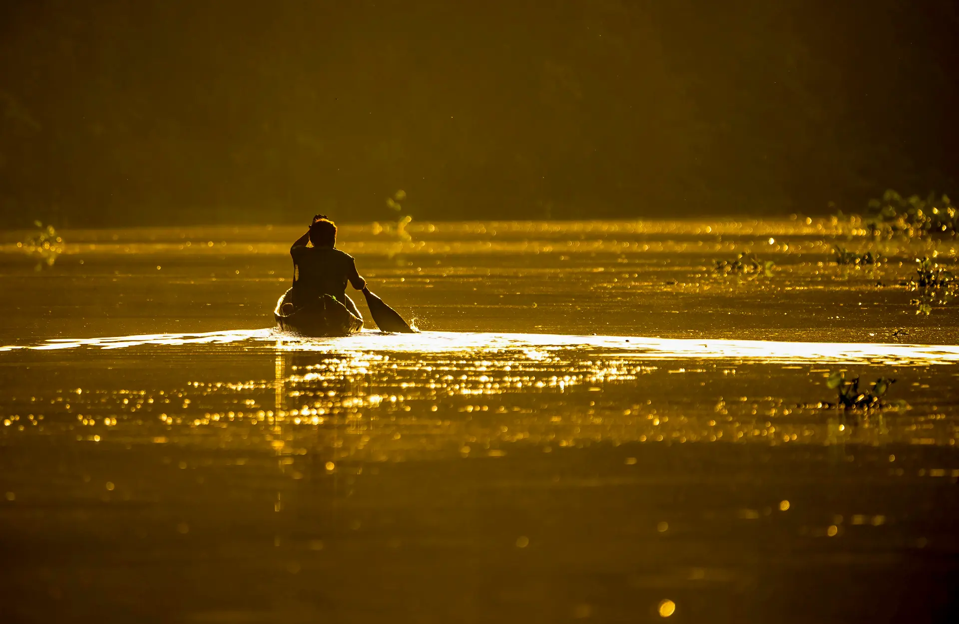 amazon_kayaking