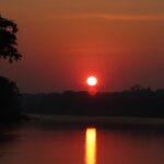10 FUN THINGS TO DO IN TAMBOPATA NATIONAL PARK