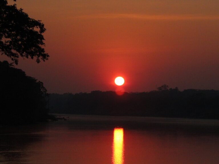 10 FUN THINGS TO DO IN TAMBOPATA NATIONAL PARK