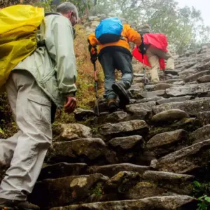 The Andean Trail to the Jungle