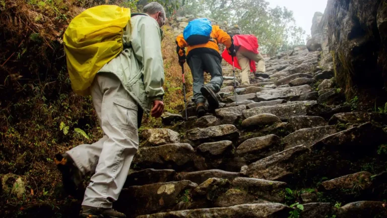 The Andean Trail to the Jungle