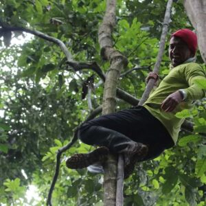 Tambopata's Exuberant Rainforest