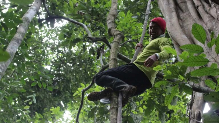 Tambopata’s Exuberant Rainforest