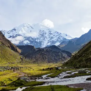 Salkantay Glacier To The Phenomenal Jungle
