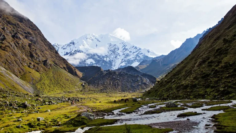 Salkantay Glacier To The Phenomenal Jungle