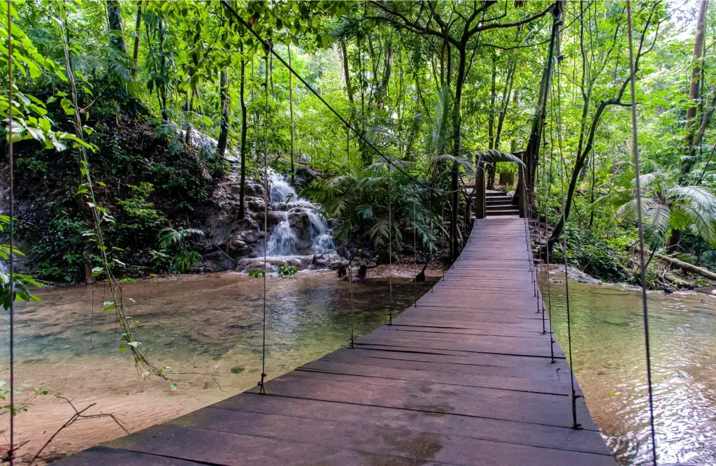 ecotourism_opportunities