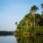 TAMBOPATA NATIONAL RESERVE
