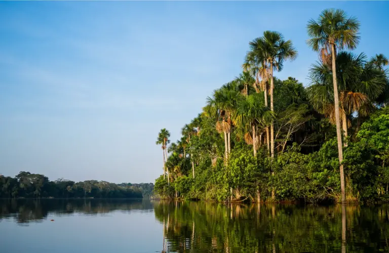 TAMBOPATA NATIONAL RESERVE