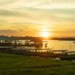 9 AMAZING AMAZON FOREST FACTS