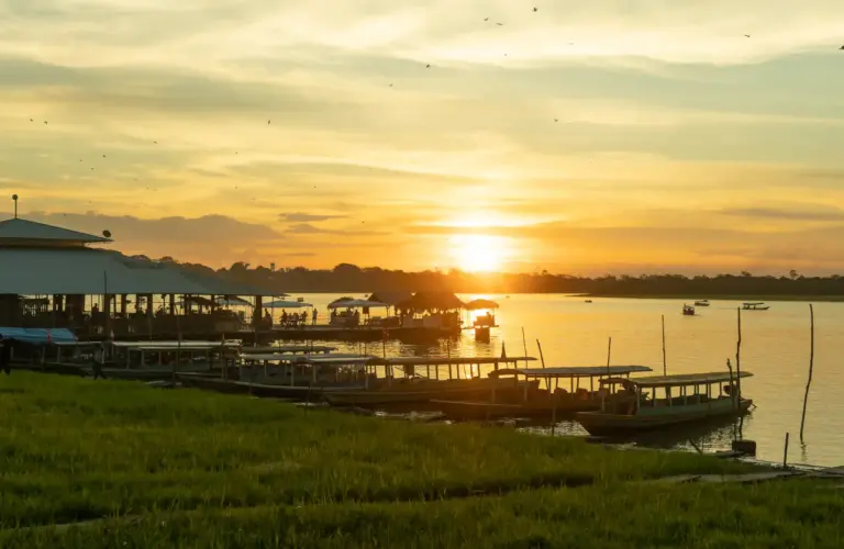 9 AMAZING AMAZON FOREST FACTS