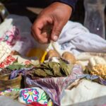 3 IMPORTANT FACTS ABOUT THE COCA LEAF: BACKGROUND, PROPERTIES & STIGMAS