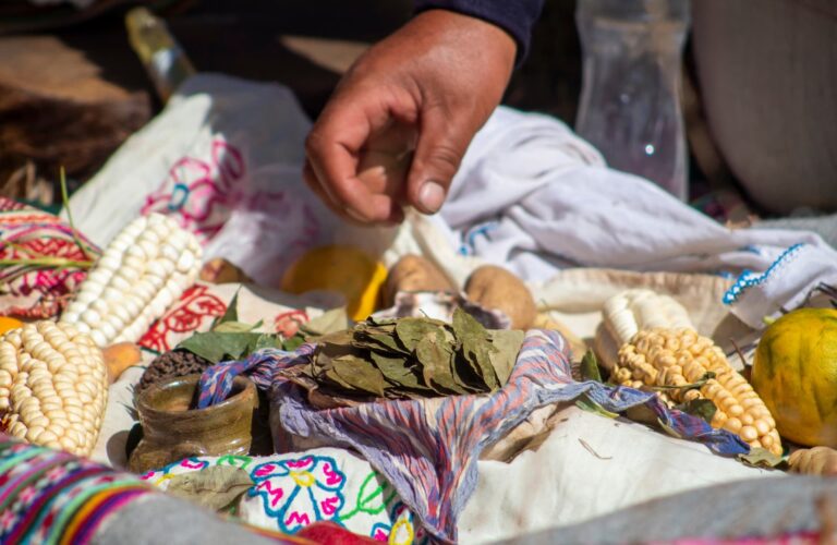 3 IMPORTANT FACTS ABOUT THE COCA LEAF: BACKGROUND, PROPERTIES & STIGMAS